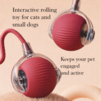 PawSpin™ | Interactive Rolling Toy for Pets