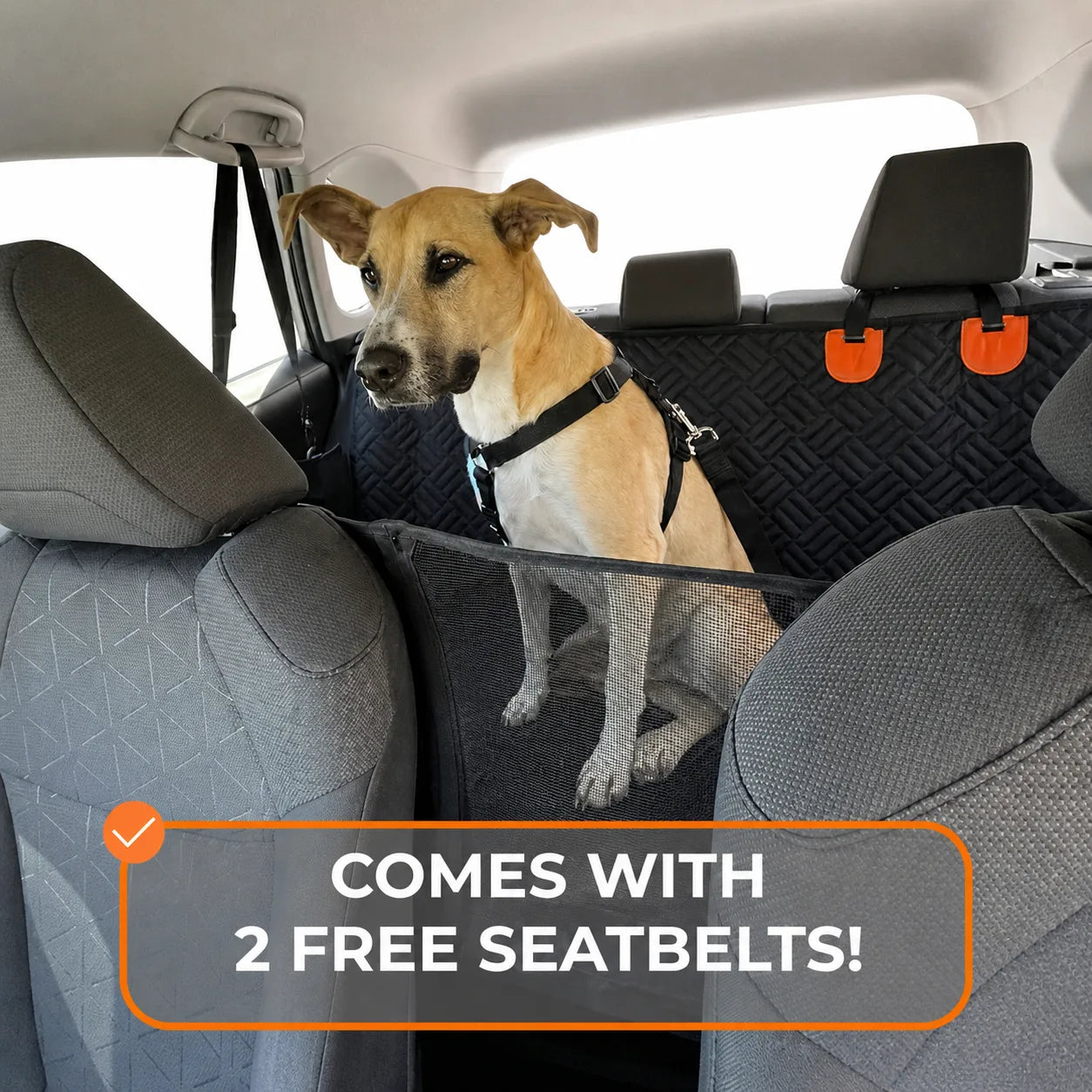 PawGuard Pro™ | Heavy Duty Dog Car Seat Cover