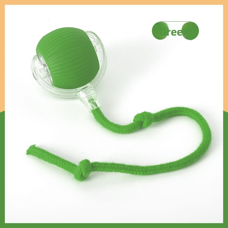 PawSpin™ | Interactive Rolling Toy for Pets